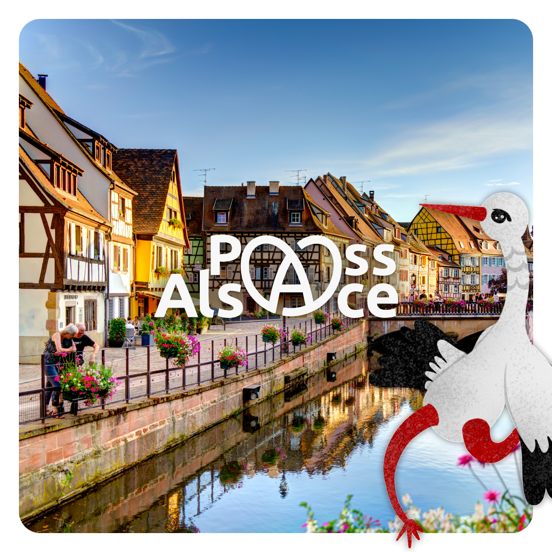 Activités à faire à Mulhouse avec le Pass'Alsace