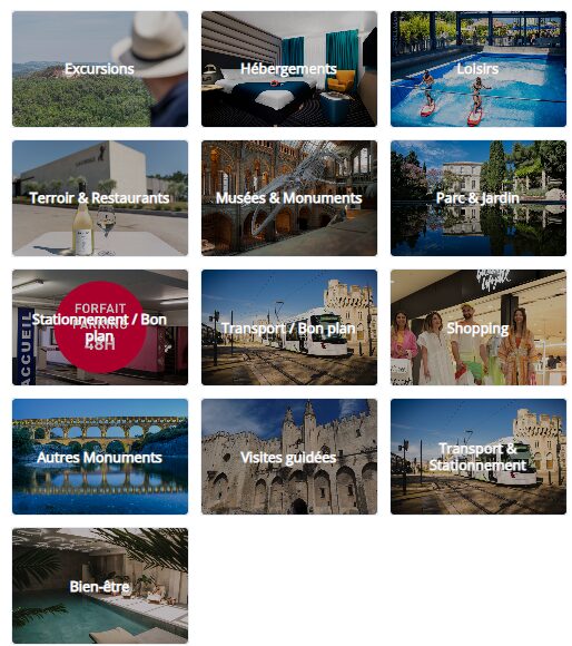 Visites et activités disponibles avec l'Avignon City Pass