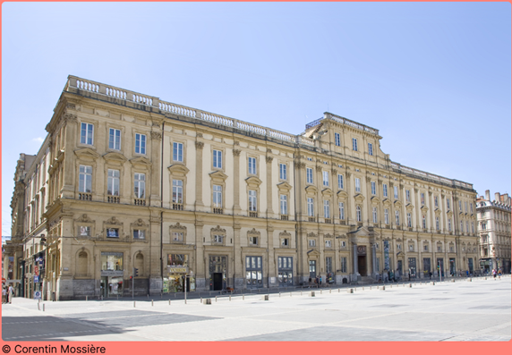 Musée des Beaux Arts de Lyon